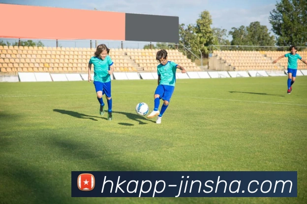 澳门金沙官网APP 封面图